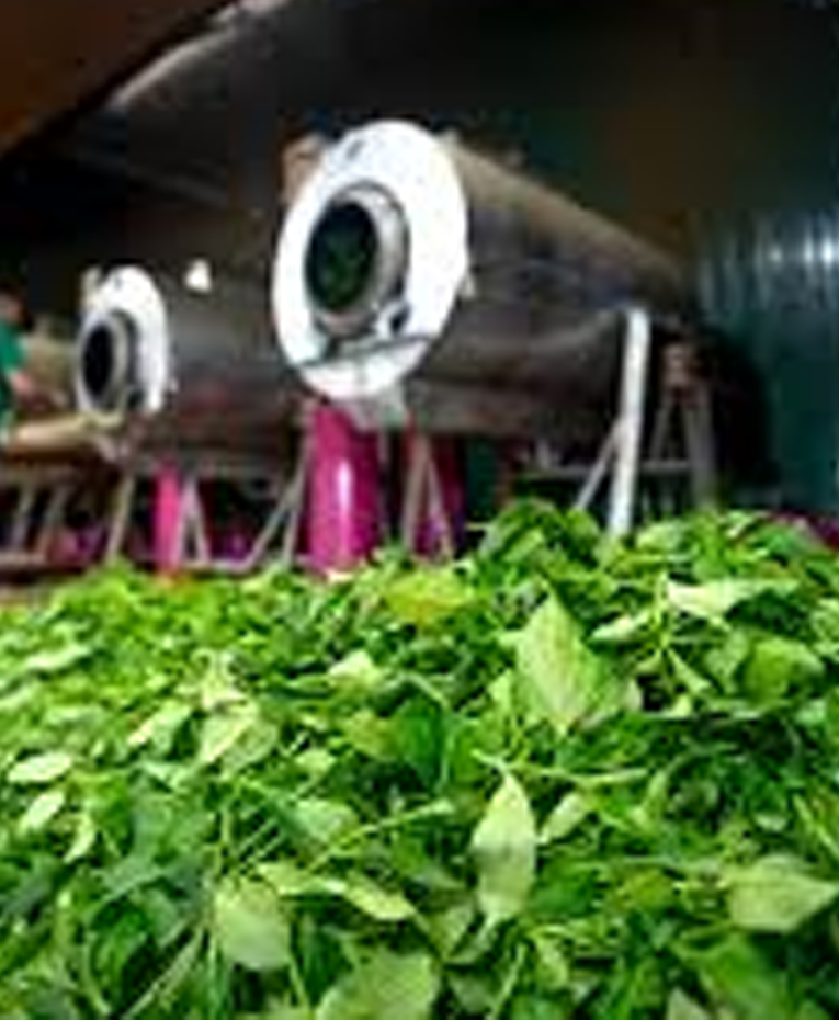 Hygienic Processing